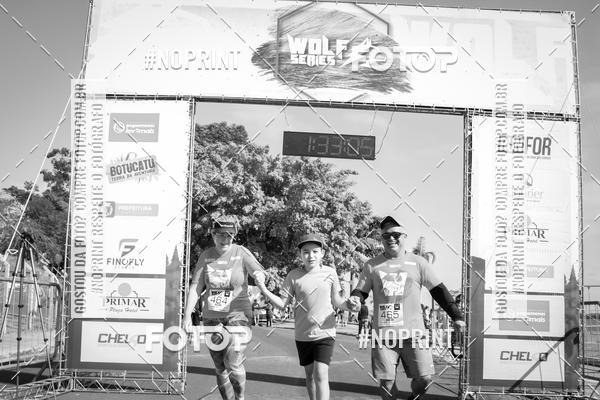 Buy your photos of the eventWolf Series - Botucatu on Fotop