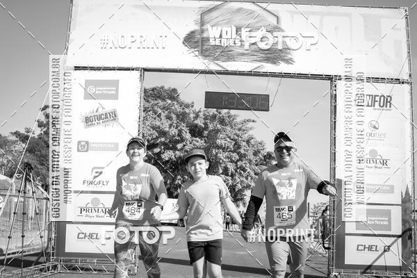 Buy your photos of the eventWolf Series - Botucatu on Fotop