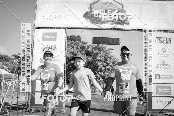 Buy your photos of the eventWolf Series - Botucatu on Fotop