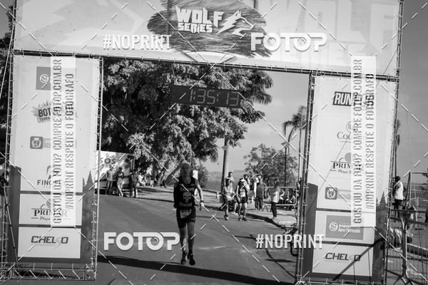 Buy your photos of the eventWolf Series - Botucatu on Fotop