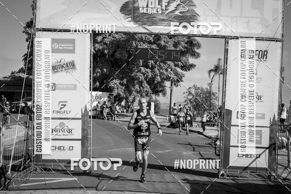 Buy your photos of the eventWolf Series - Botucatu on Fotop