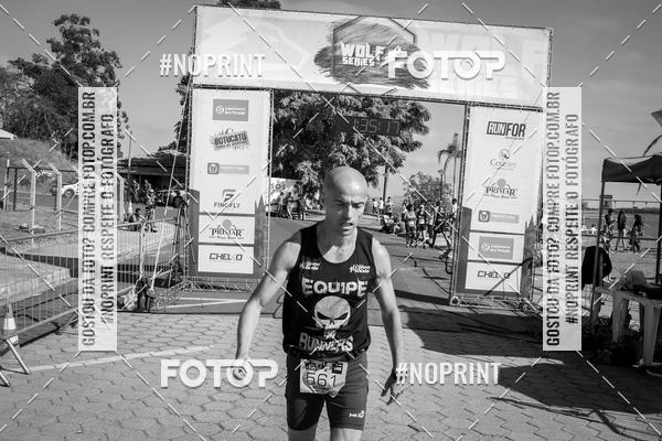 Buy your photos of the eventWolf Series - Botucatu on Fotop