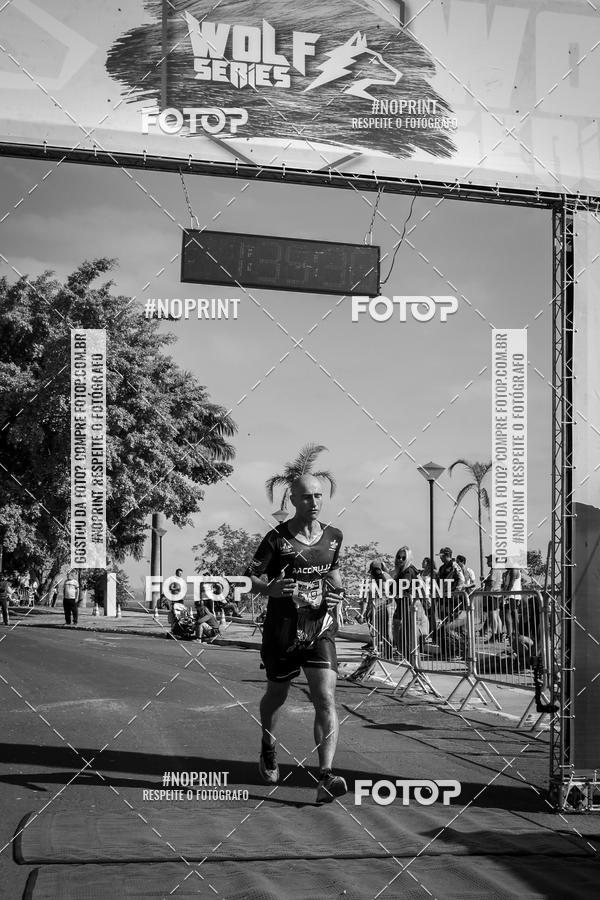 Buy your photos of the eventWolf Series - Botucatu on Fotop