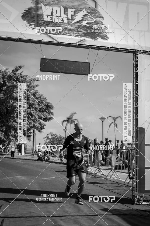 Buy your photos of the eventWolf Series - Botucatu on Fotop