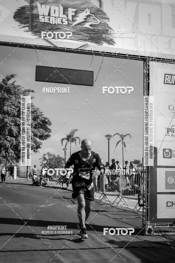 Buy your photos of the eventWolf Series - Botucatu on Fotop