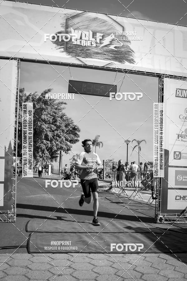 Buy your photos of the eventWolf Series - Botucatu on Fotop