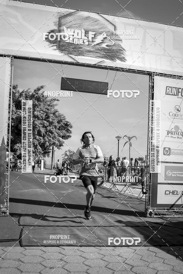 Buy your photos of the eventWolf Series - Botucatu on Fotop