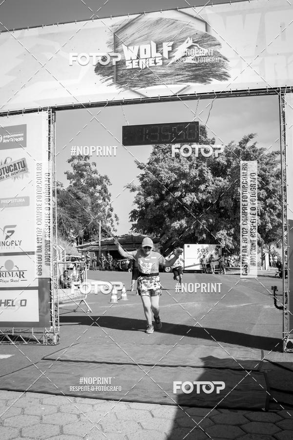 Buy your photos of the eventWolf Series - Botucatu on Fotop