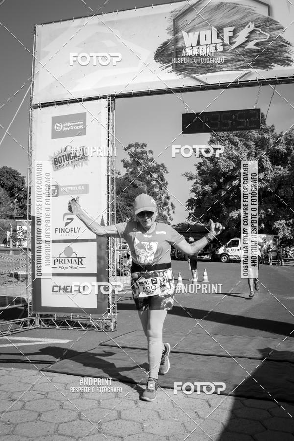 Buy your photos of the eventWolf Series - Botucatu on Fotop