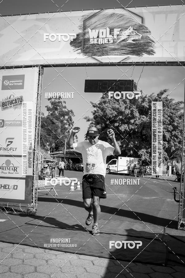 Buy your photos of the eventWolf Series - Botucatu on Fotop