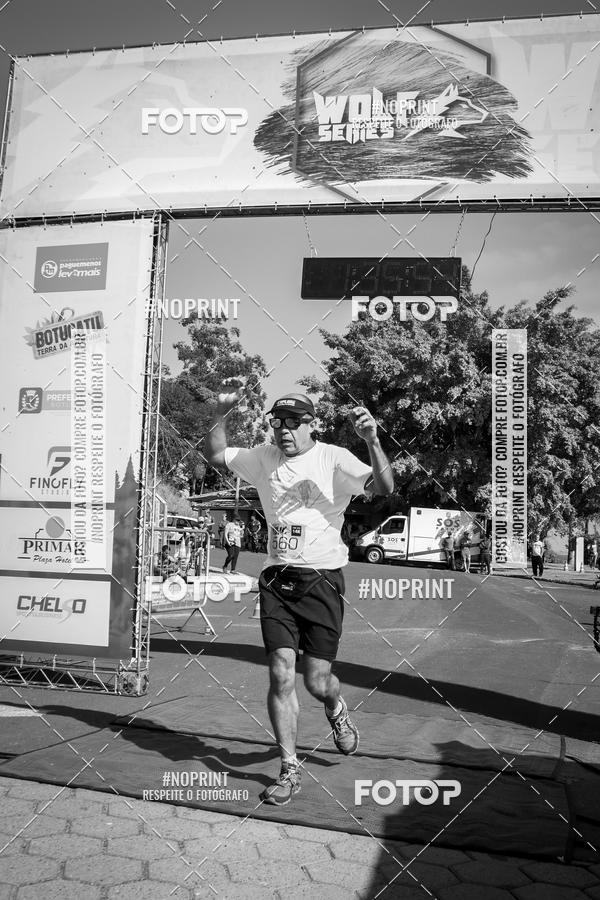 Buy your photos of the eventWolf Series - Botucatu on Fotop