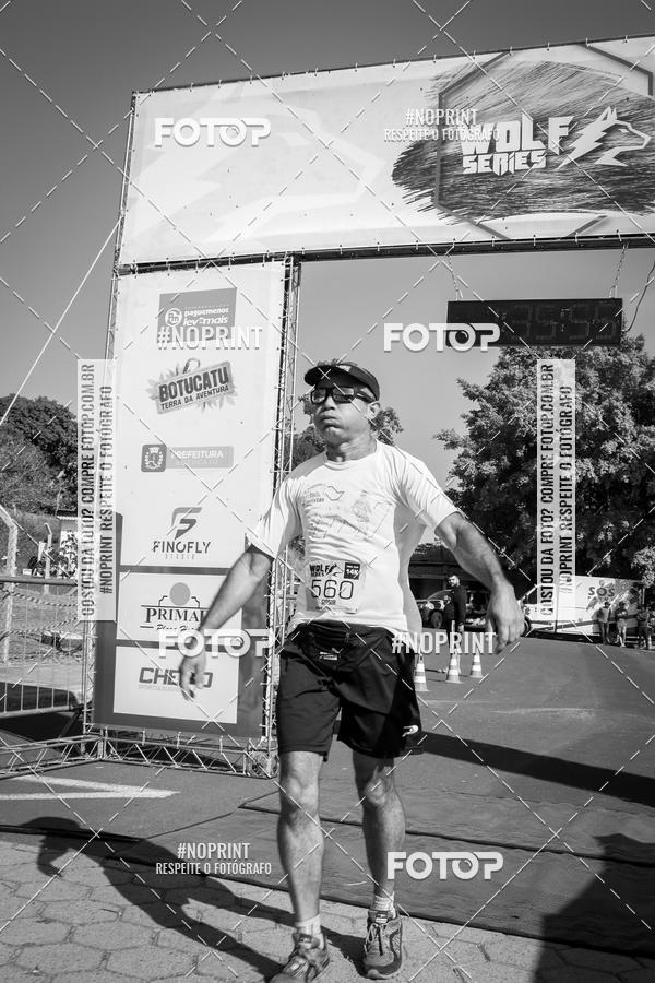 Buy your photos of the eventWolf Series - Botucatu on Fotop