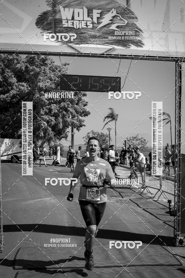 Buy your photos of the eventWolf Series - Botucatu on Fotop