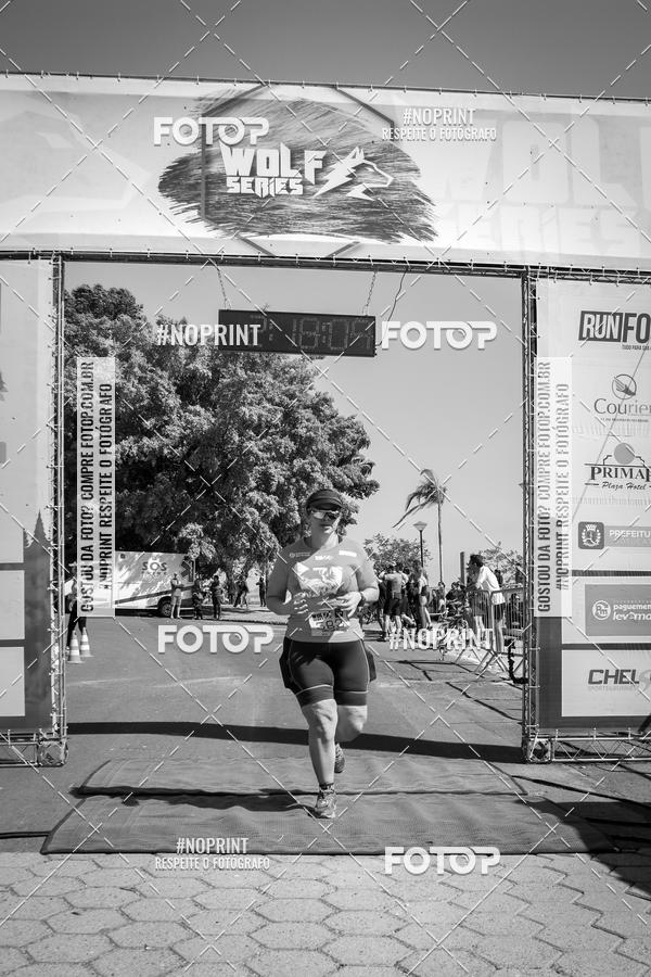 Buy your photos of the eventWolf Series - Botucatu on Fotop