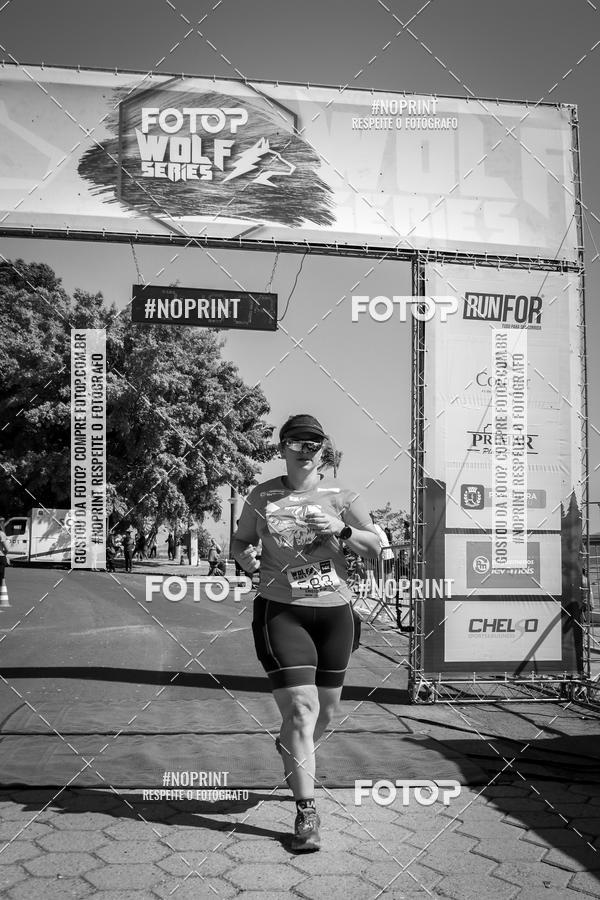 Buy your photos of the eventWolf Series - Botucatu on Fotop