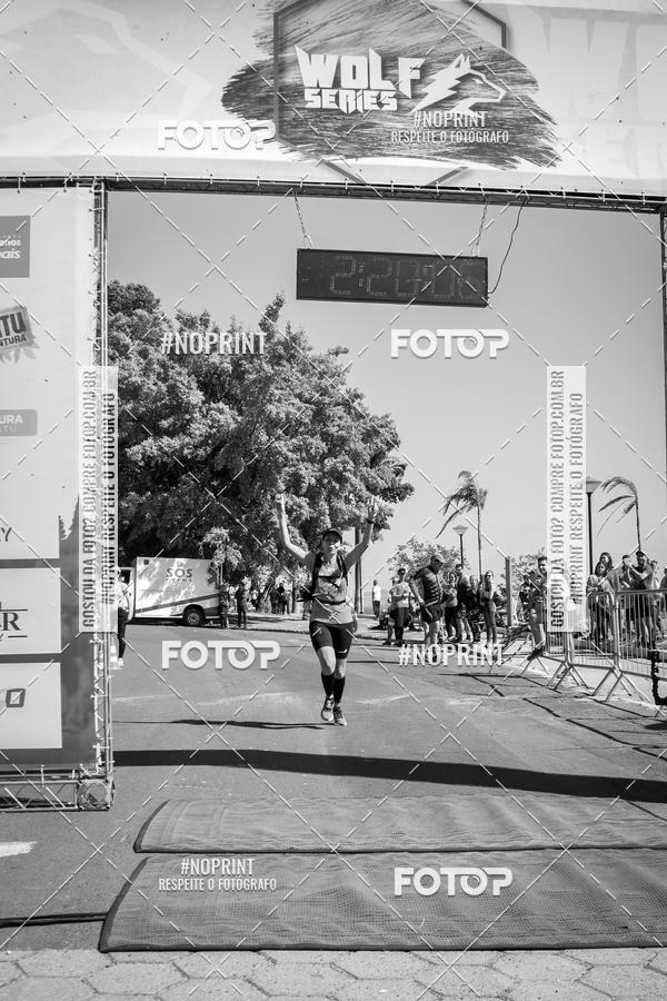 Buy your photos of the eventWolf Series - Botucatu on Fotop