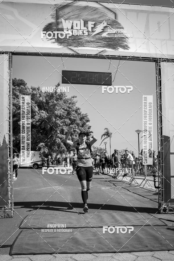 Buy your photos of the eventWolf Series - Botucatu on Fotop