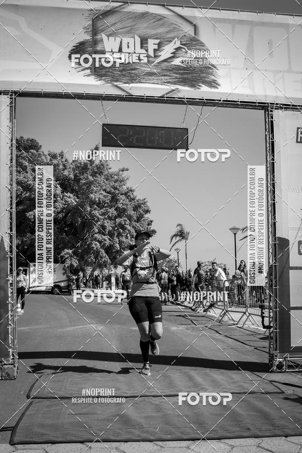 Buy your photos of the eventWolf Series - Botucatu on Fotop