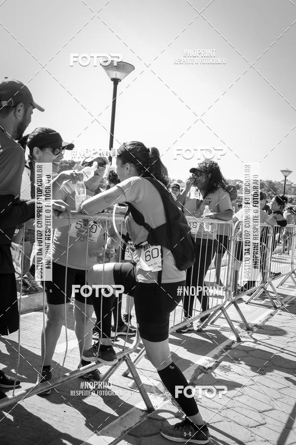 Buy your photos of the eventWolf Series - Botucatu on Fotop