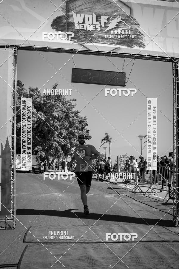 Buy your photos of the eventWolf Series - Botucatu on Fotop