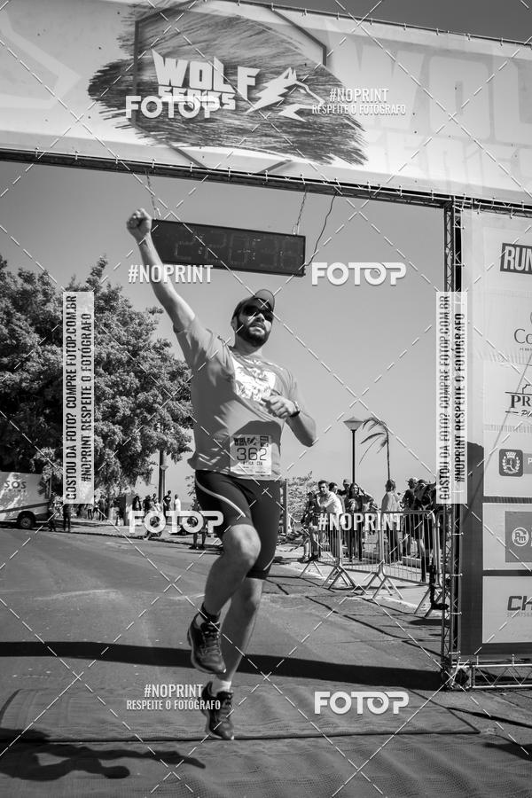 Buy your photos of the eventWolf Series - Botucatu on Fotop