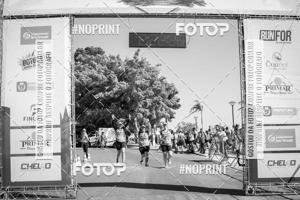 Buy your photos of the eventWolf Series - Botucatu on Fotop