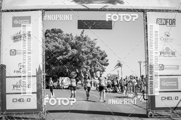 Buy your photos of the eventWolf Series - Botucatu on Fotop