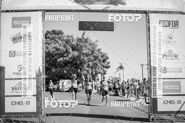 Buy your photos of the eventWolf Series - Botucatu on Fotop