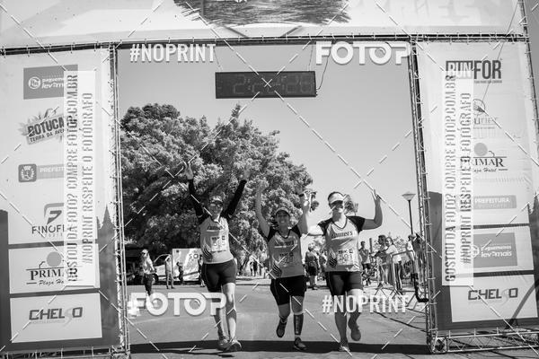 Buy your photos of the eventWolf Series - Botucatu on Fotop