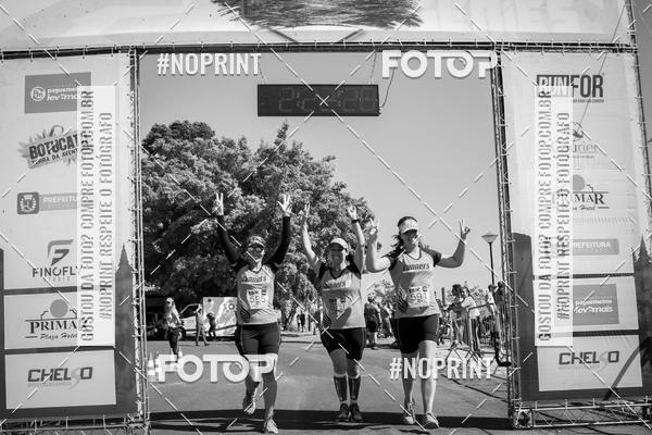 Buy your photos of the eventWolf Series - Botucatu on Fotop