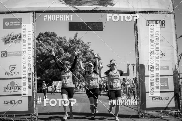 Buy your photos of the eventWolf Series - Botucatu on Fotop