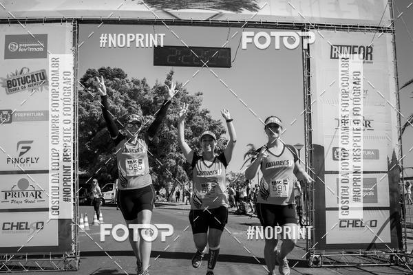 Buy your photos of the eventWolf Series - Botucatu on Fotop