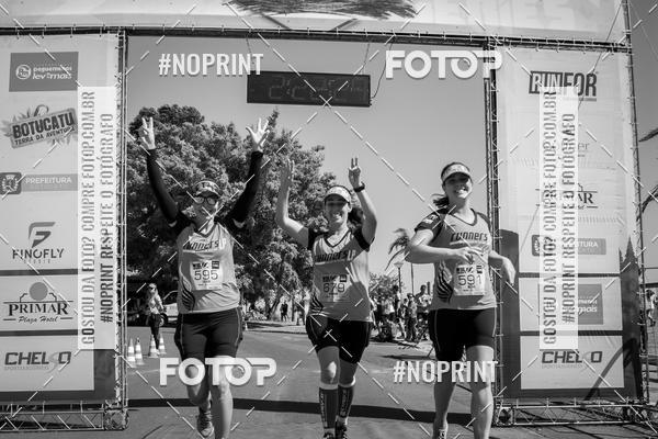 Buy your photos of the eventWolf Series - Botucatu on Fotop