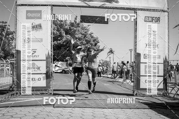 Buy your photos of the eventWolf Series - Botucatu on Fotop