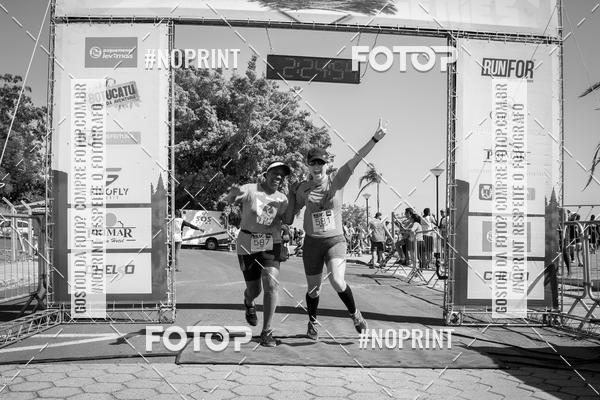 Buy your photos of the eventWolf Series - Botucatu on Fotop