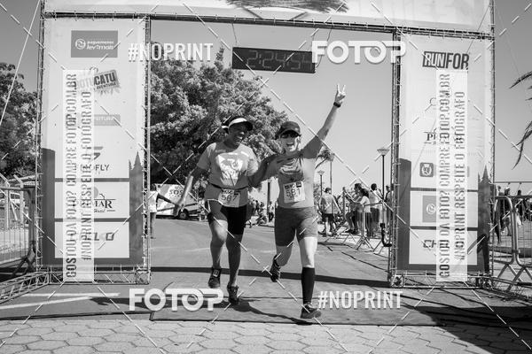 Buy your photos of the eventWolf Series - Botucatu on Fotop