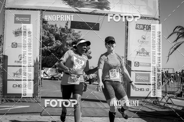 Buy your photos of the eventWolf Series - Botucatu on Fotop