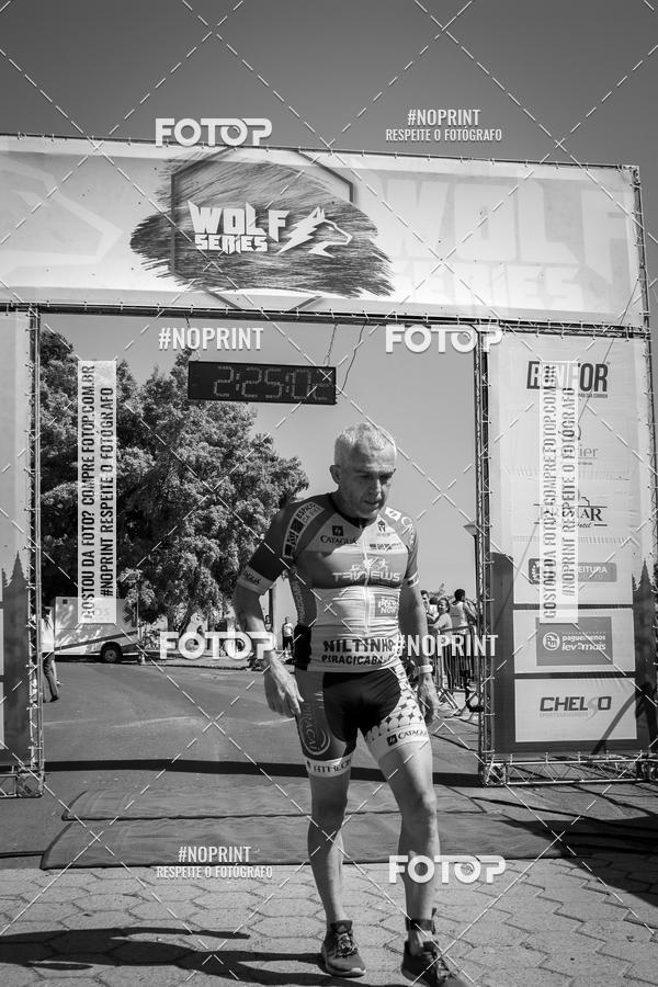 Buy your photos of the eventWolf Series - Botucatu on Fotop