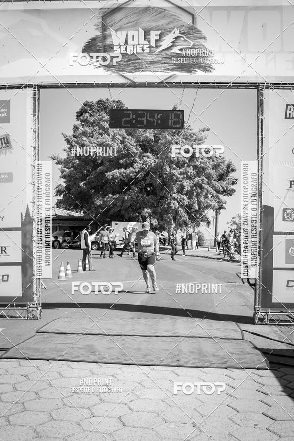 Buy your photos of the eventWolf Series - Botucatu on Fotop