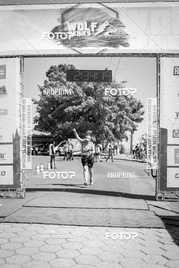 Buy your photos of the eventWolf Series - Botucatu on Fotop