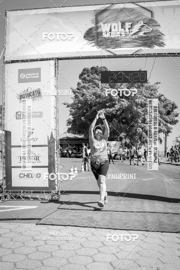 Buy your photos of the eventWolf Series - Botucatu on Fotop