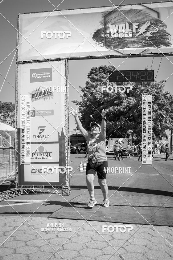 Buy your photos of the eventWolf Series - Botucatu on Fotop