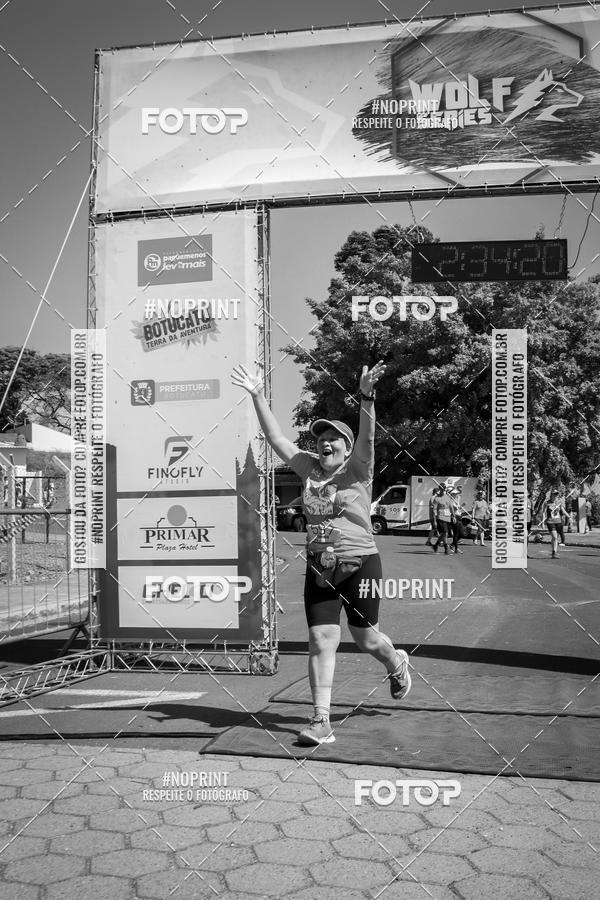 Buy your photos of the eventWolf Series - Botucatu on Fotop