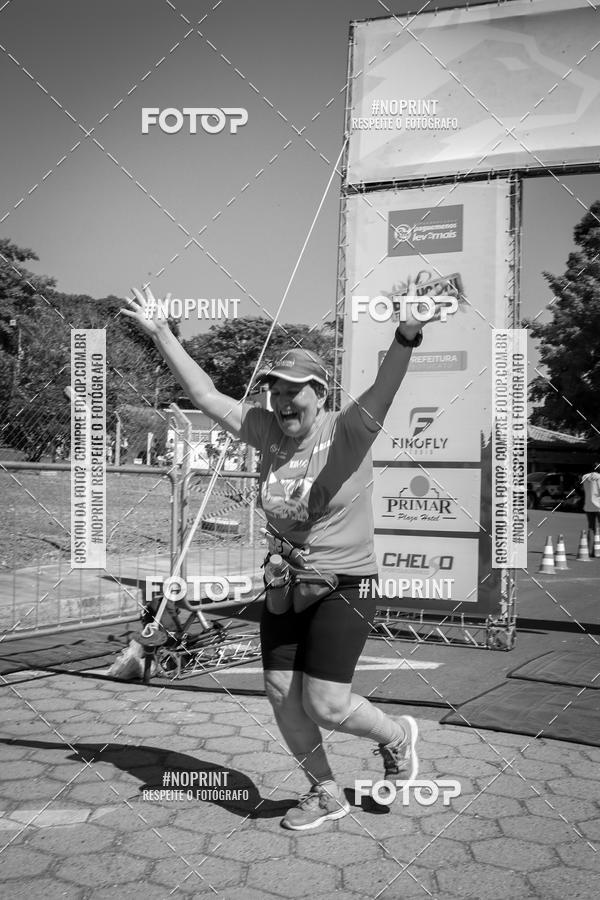 Buy your photos of the eventWolf Series - Botucatu on Fotop