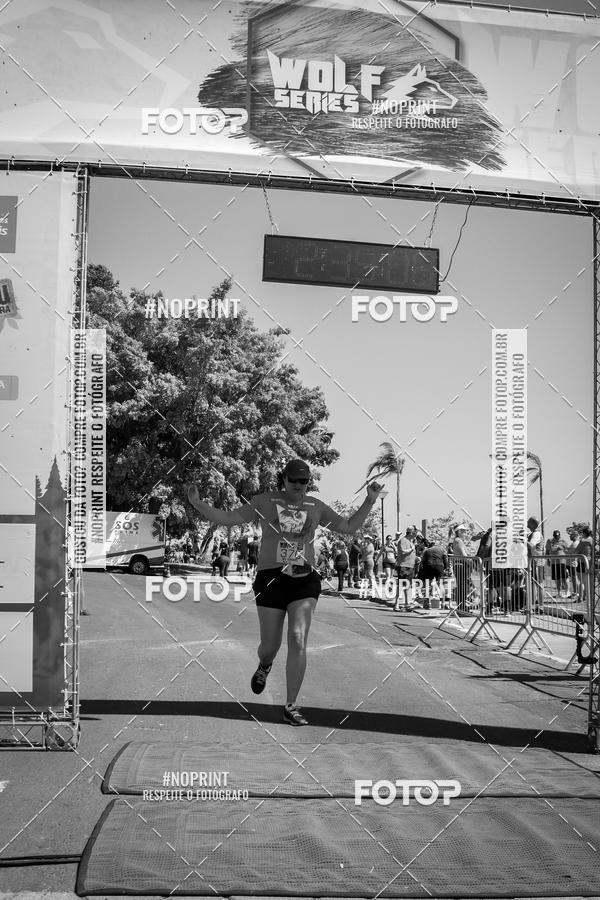 Buy your photos of the eventWolf Series - Botucatu on Fotop