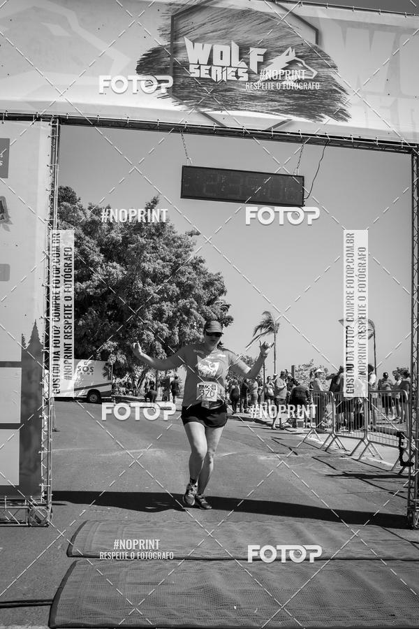 Buy your photos of the eventWolf Series - Botucatu on Fotop