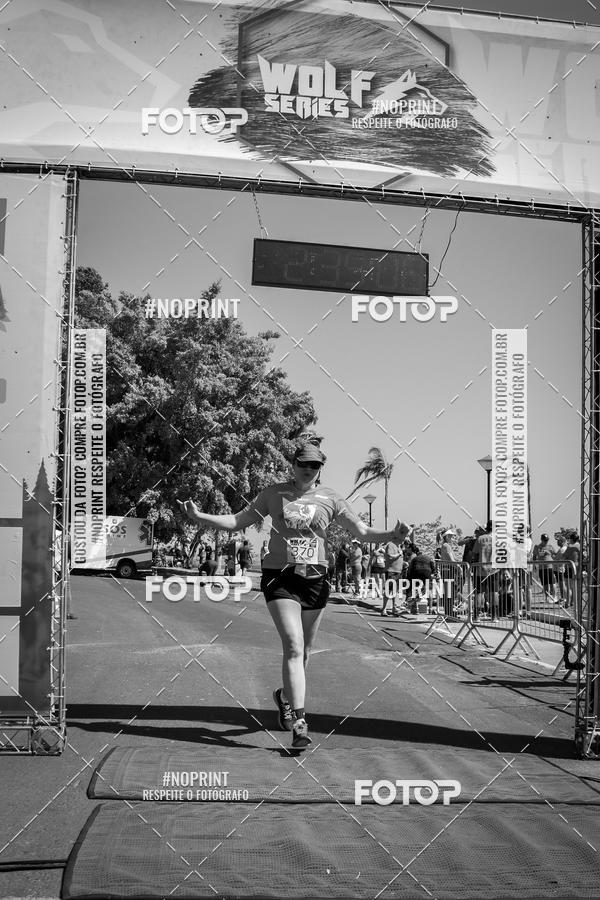 Buy your photos of the eventWolf Series - Botucatu on Fotop