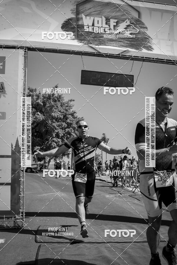 Buy your photos of the eventWolf Series - Botucatu on Fotop