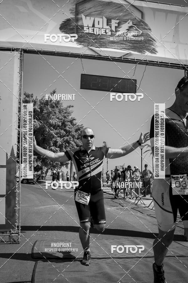 Buy your photos of the eventWolf Series - Botucatu on Fotop