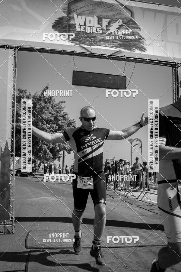 Buy your photos of the eventWolf Series - Botucatu on Fotop